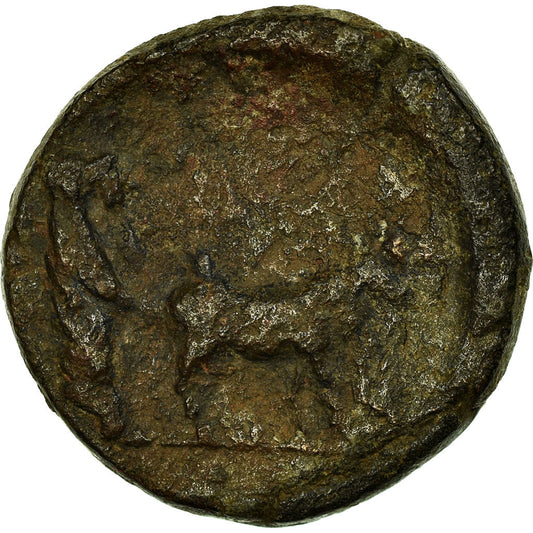 minca,
 
 Drusus,
 
 Bronz Æ