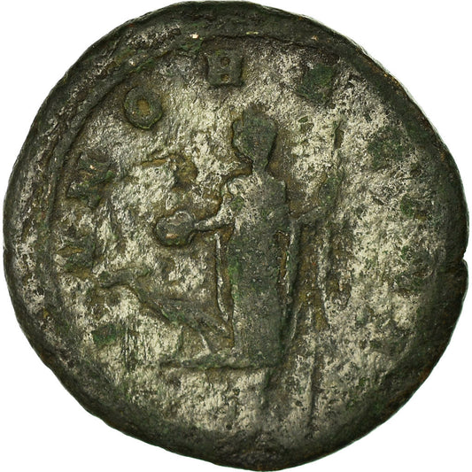 minca,
 
 Severina,
 
 Sestertius